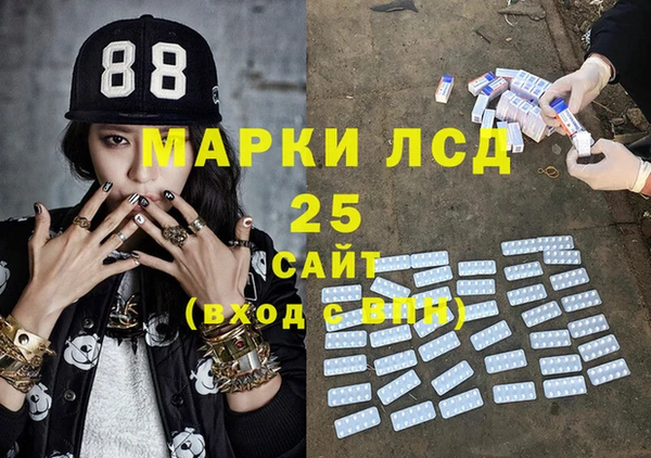 ГАЛЛЮЦИНОГЕННЫЕ ГРИБЫ Иннополис