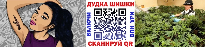 Купить закладки  Удомля  Бошки марихуана планчик 